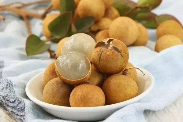 龙眼和桂圆的区别？