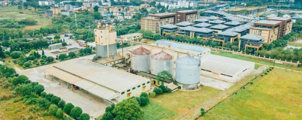 发酵饲料制作多久？