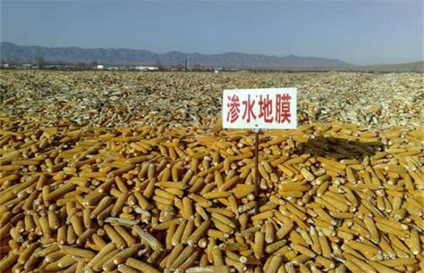 现在有哪些新型地膜