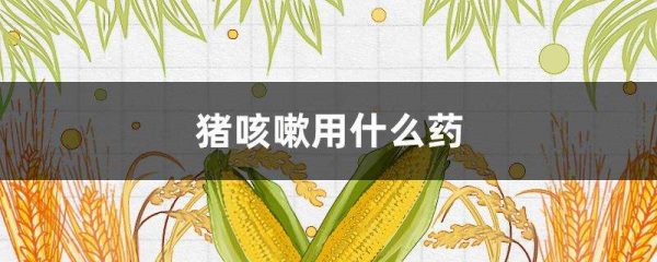 猪咳嗽用什么药