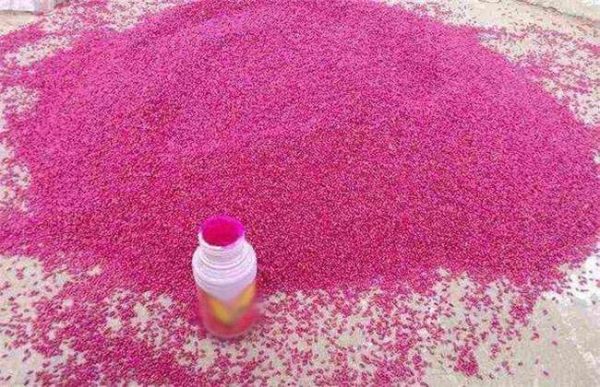 小麦拌种注意事项