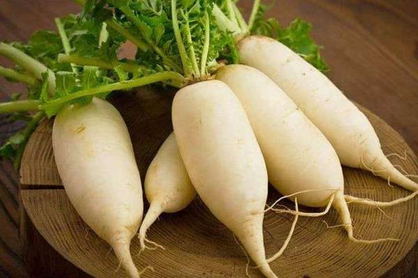 6月份适合种什么蔬菜