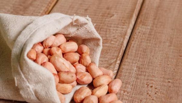 花生是果实还是种子