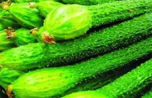 黄瓜出现大肚果怎么办？