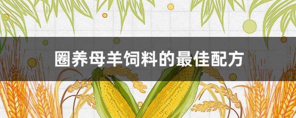 圈养母羊饲料的最佳配方