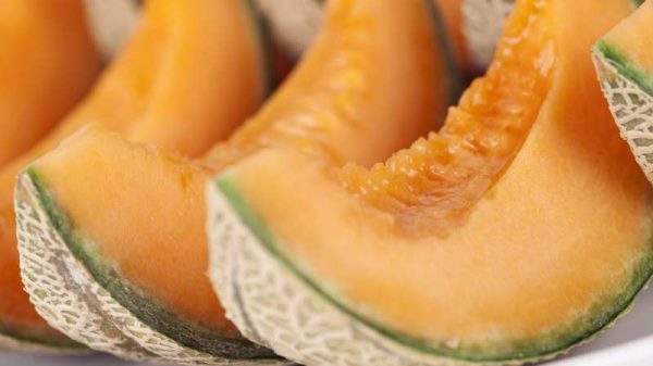 哈密瓜上火吗？