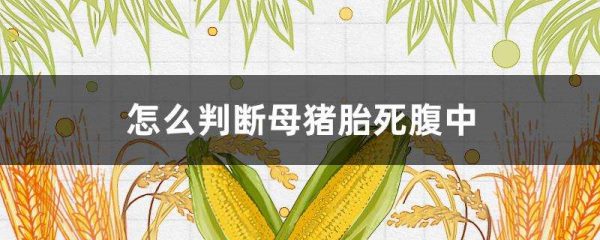 怎么判断母猪胎死腹中