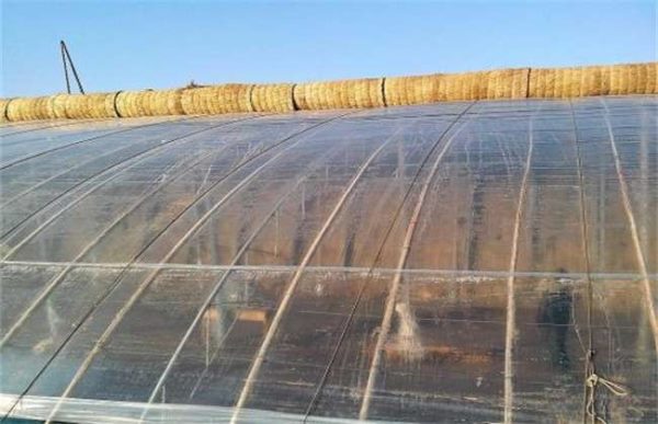 如何延长大棚膜的使用寿命