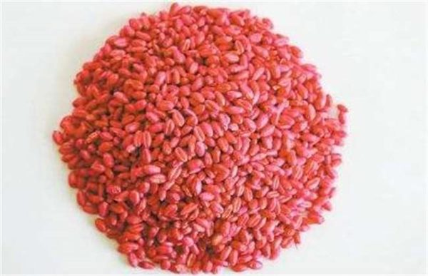 小麦拌种注意事项