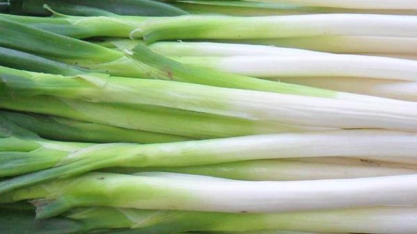韭葱和大葱的区别