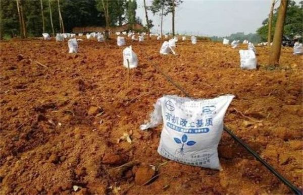 果园翻土有什么影响