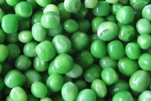 豆的种类有哪些？