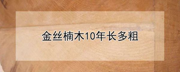 金丝楠木10年长多粗