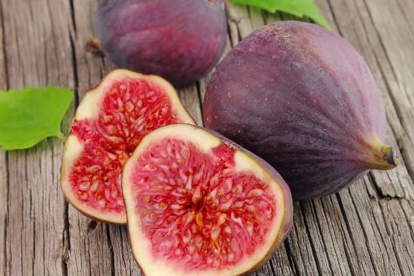 无花果的花在哪里