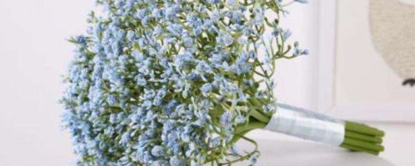 满天星送恋人可以吗