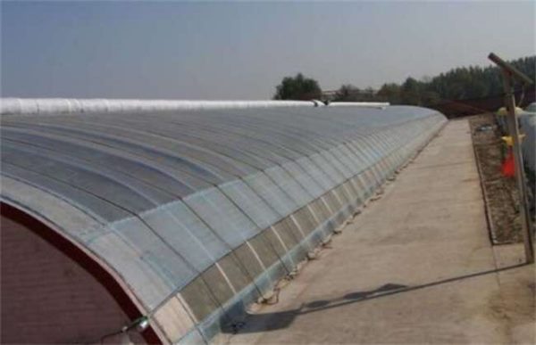 冬季大棚温度低的原因？