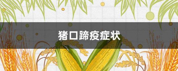 猪口蹄疫症状