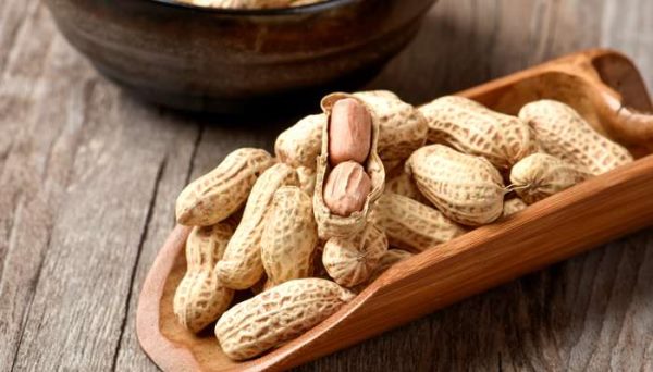 花生是单叶植物还是双叶植物