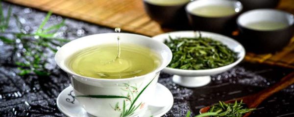 毛尖属于什么茶