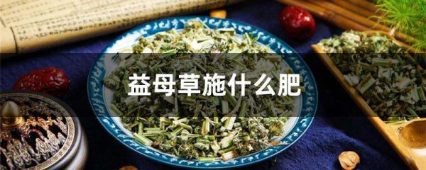 益母草施什么肥