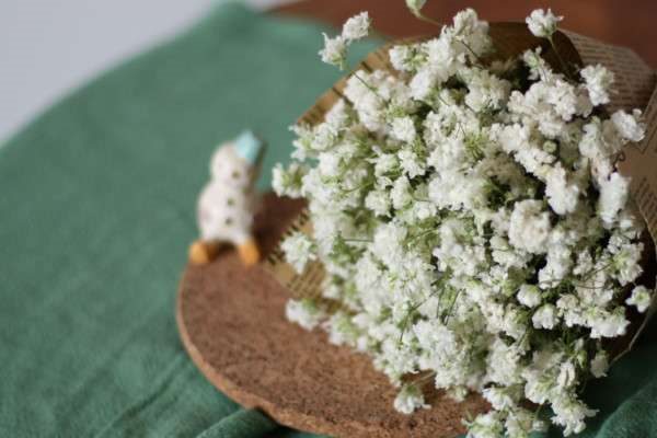 满天星送什么人好