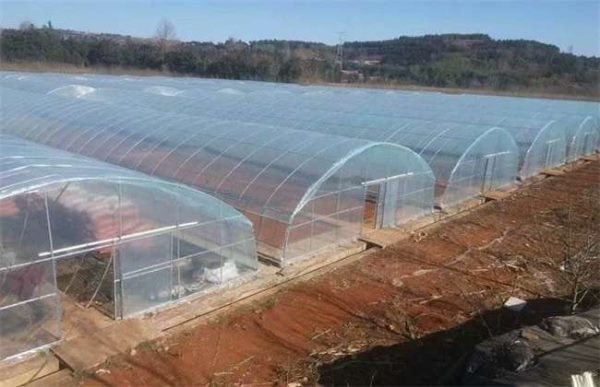 冬季使用反光幕要注意些什么？