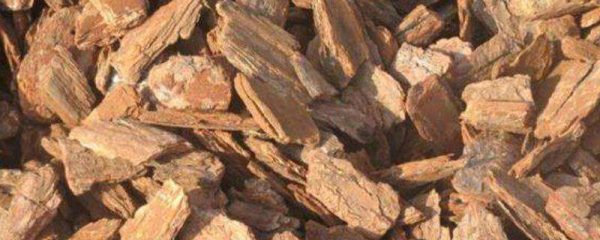 松树皮怎么发酵养兰花