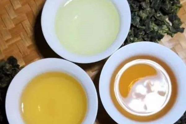 铁观音属于什么茶