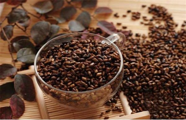 如何提高决明子的产量