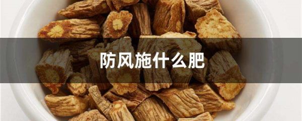 防风施什么肥