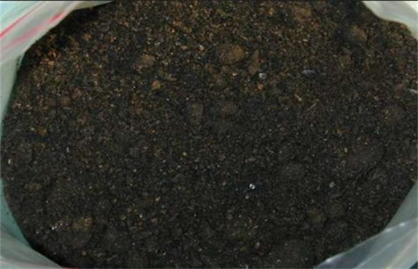 果树菌肥有哪些种类 果树菌肥的作用