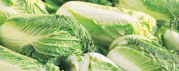 春天成熟的庄稼有什么？