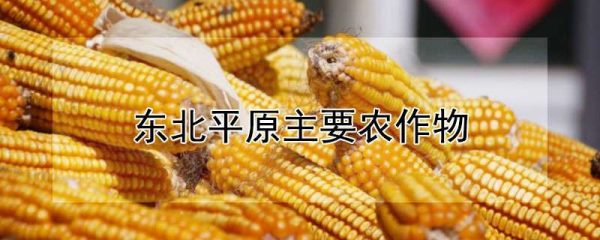 东北平原主要农作物