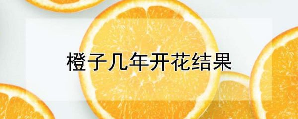 橙子几年开花结果