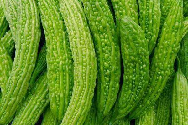 七八月份种什么菜合适