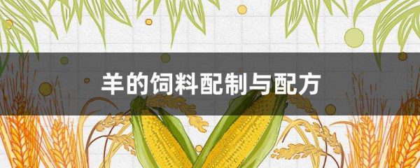 羊的饲料配制与配方