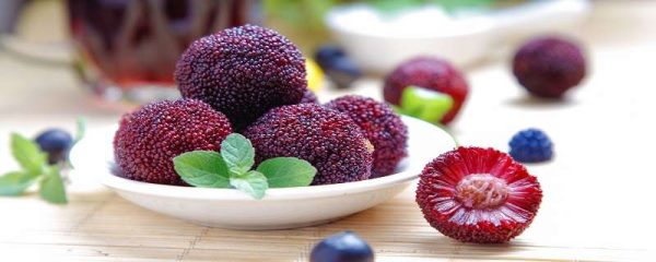 杨梅泡酒多久？