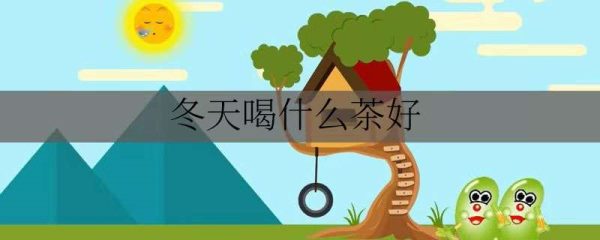 冬天喝什么茶好