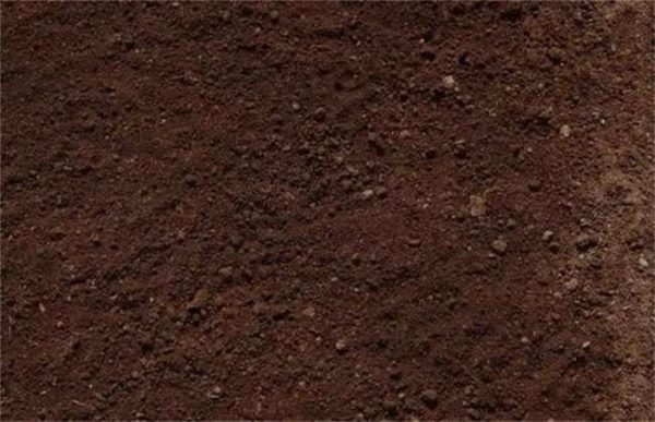 果园翻土有什么影响