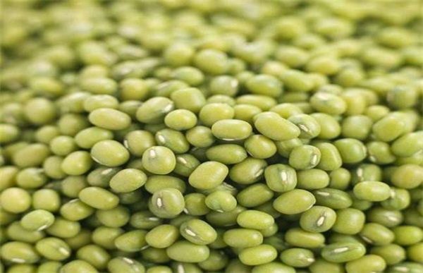 种一亩绿豆成本多少？