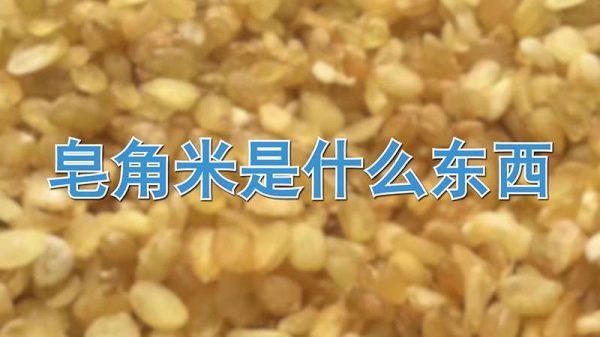 皂角米是什么东西