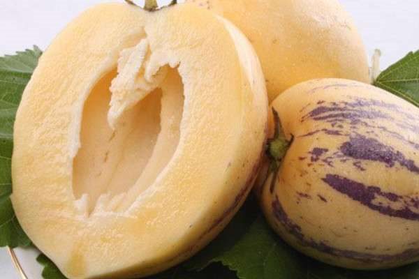 人参果白色放几天变黄