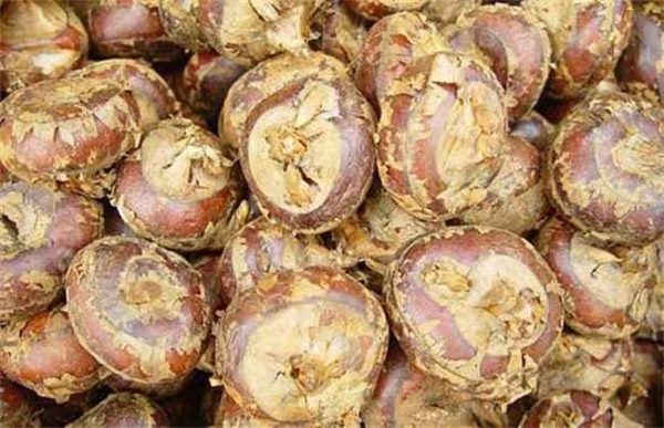 荸荠的采收与贮存多久？