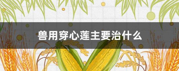 兽用穿心莲主要治什么？