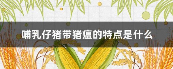 哺乳仔猪带猪瘟的特点是什么？