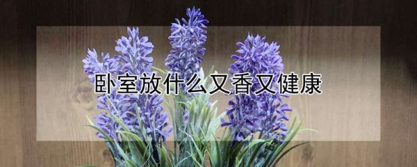 卧室放什么又香又健康