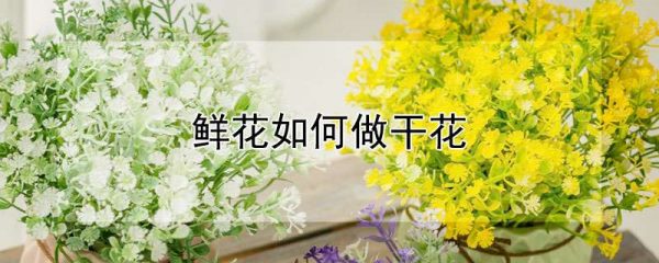 鲜花如何做干花