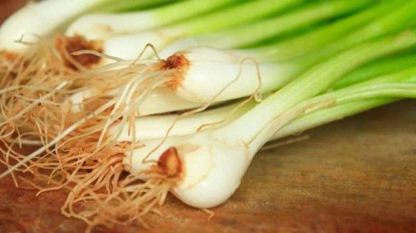 什么是葱白