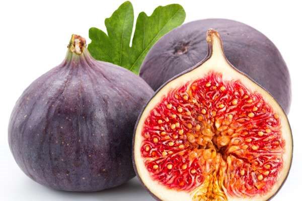 无花果的花在哪里