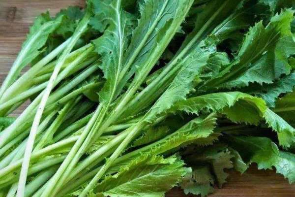 农村的腊菜是什么菜